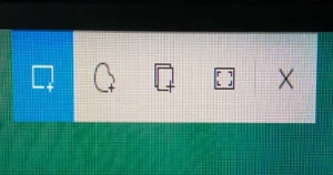 Windows, Shift, and S key screenshot interface.