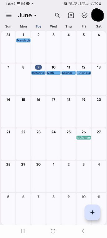 This image is a screenshot of Google Calendar.